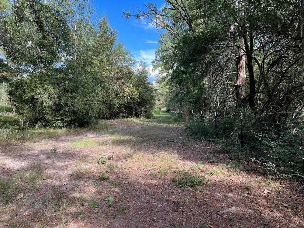 7749 Cr 4200 Pennington, TX 75856