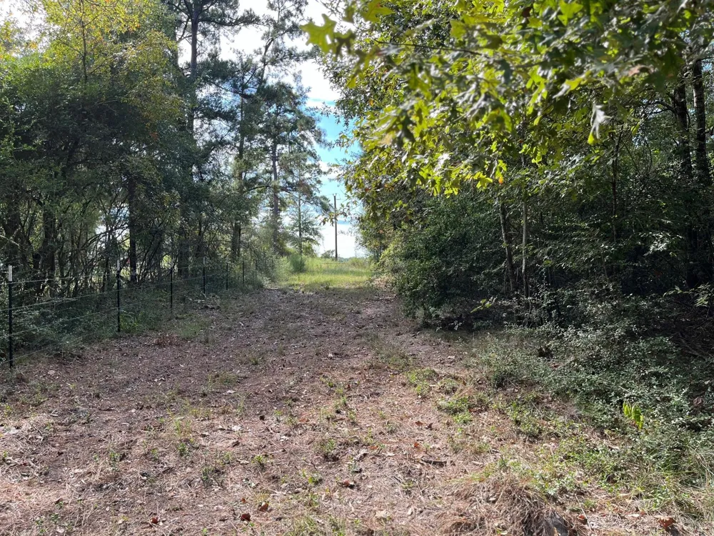 7749 Cr 4200 Pennington, TX 75856