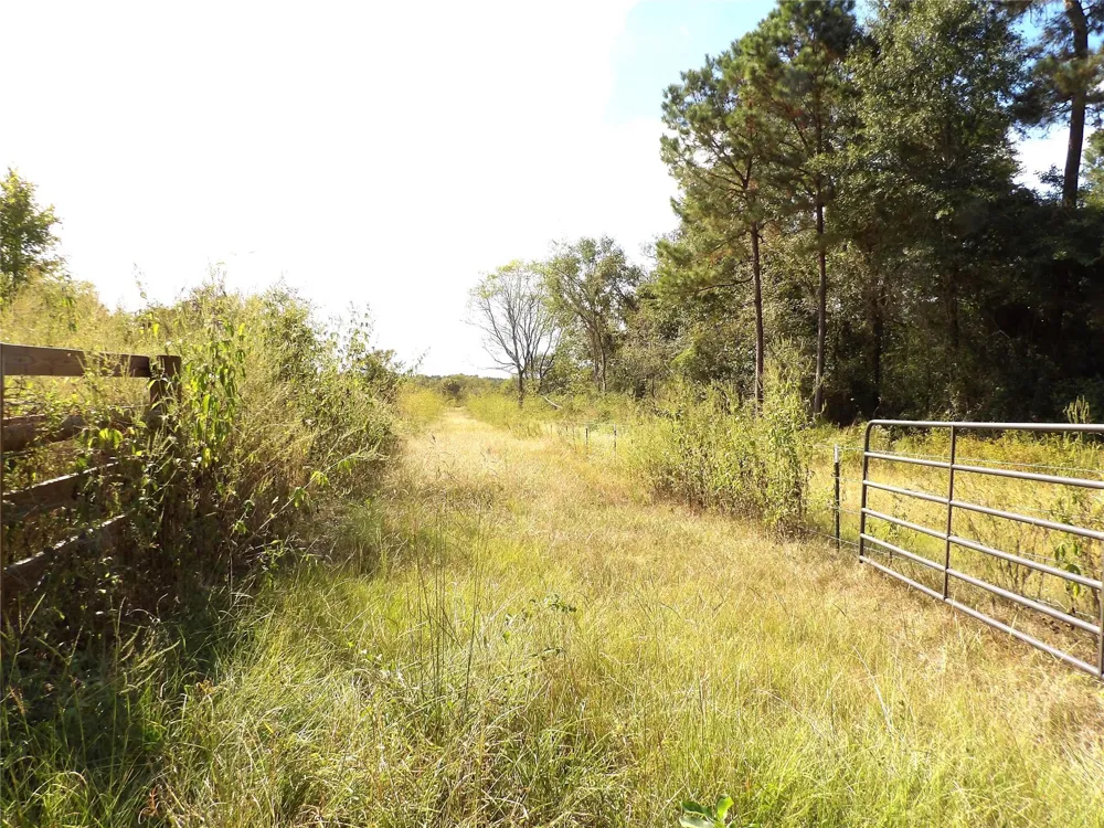 7749 Cr 4200 Pennington, TX 75856