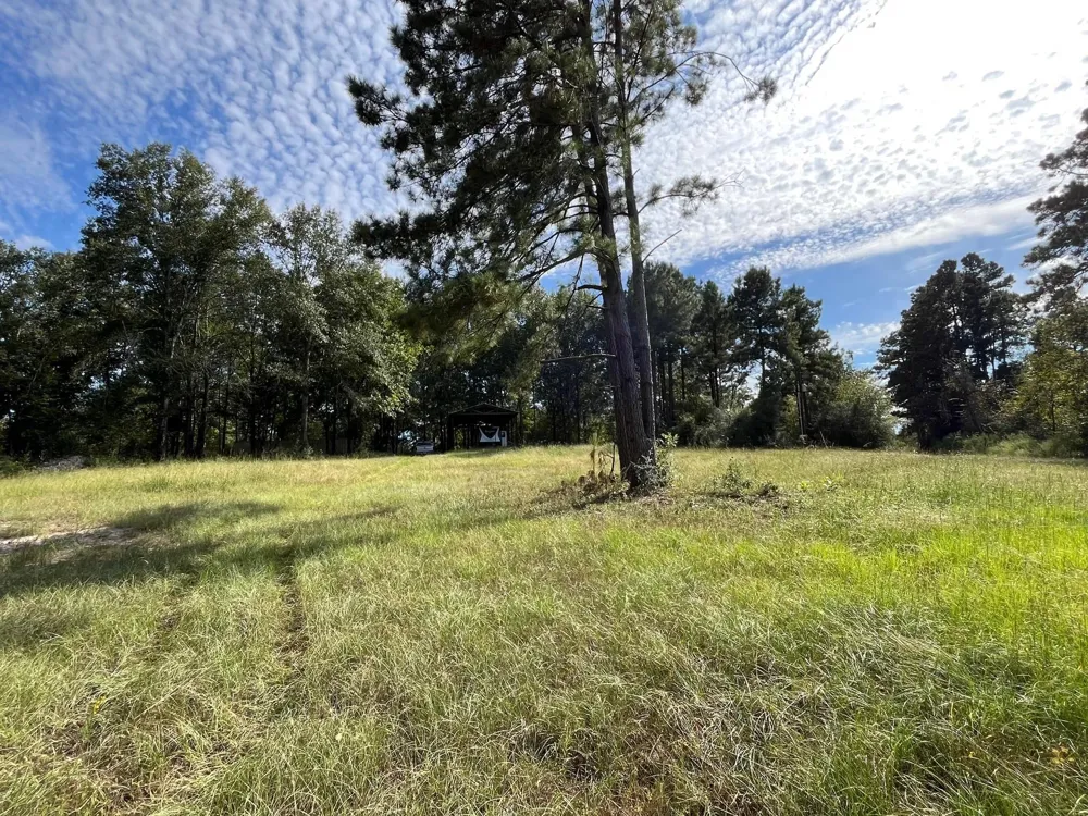7749 Cr 4200 Pennington, TX 75856