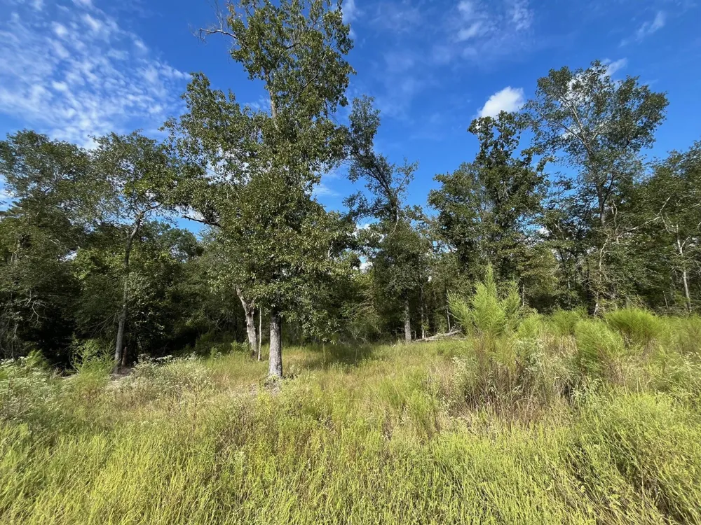 7749 Cr 4200 Pennington, TX 75856