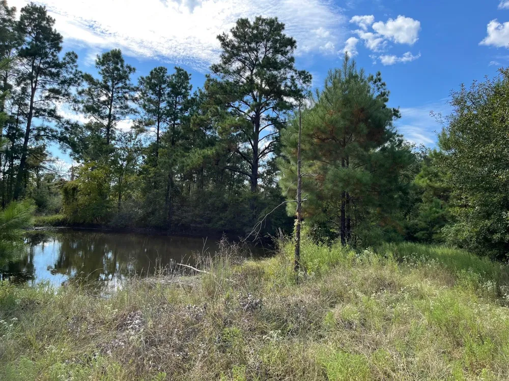 7749 Cr 4200 Pennington, TX 75856