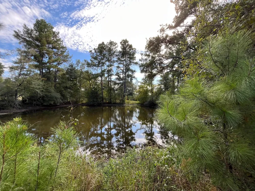 7749 Cr 4200 Pennington, TX 75856