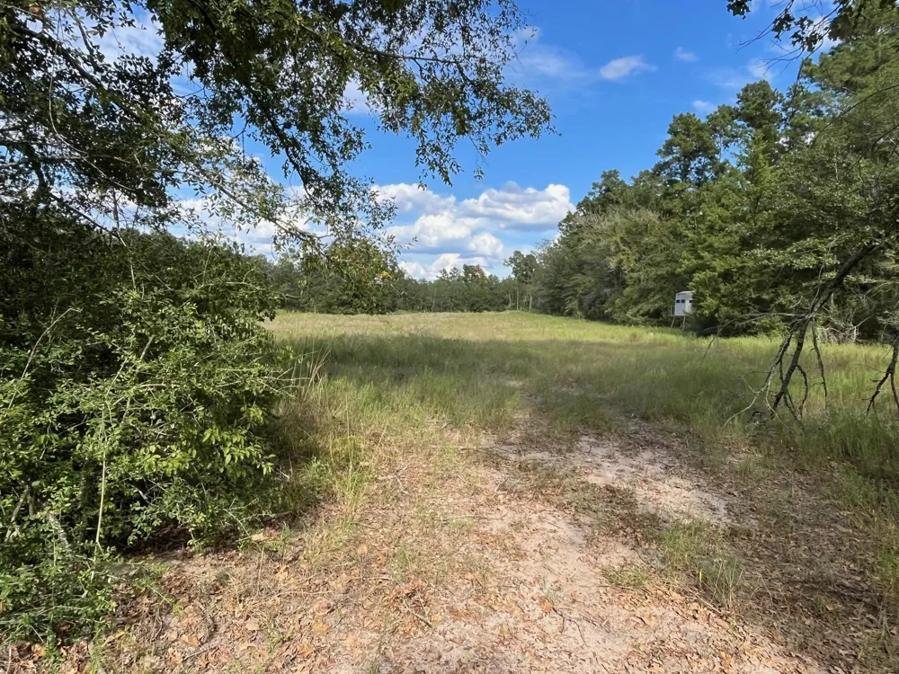 7749 Cr 4200 Pennington, TX 75856