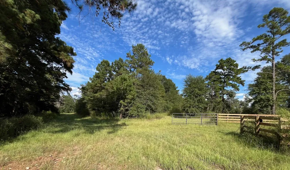 7749 Cr 4200 Pennington, TX 75856