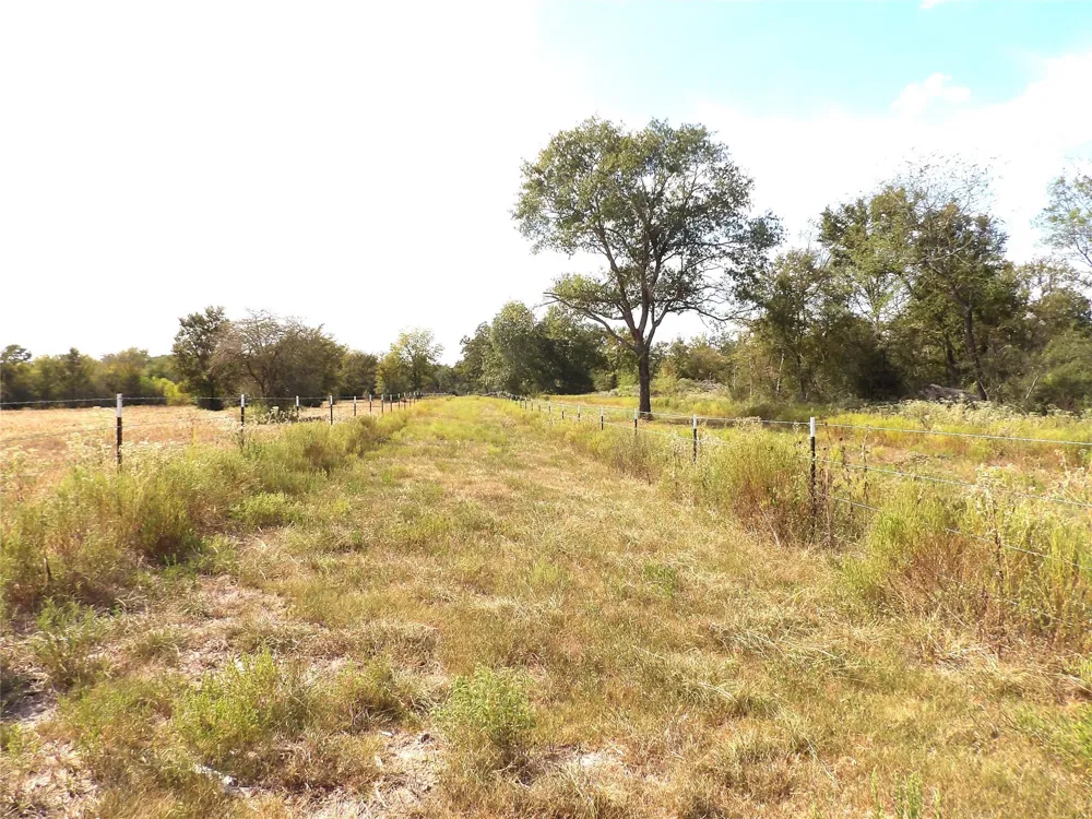 7749 Cr 4200 Pennington, TX 75856