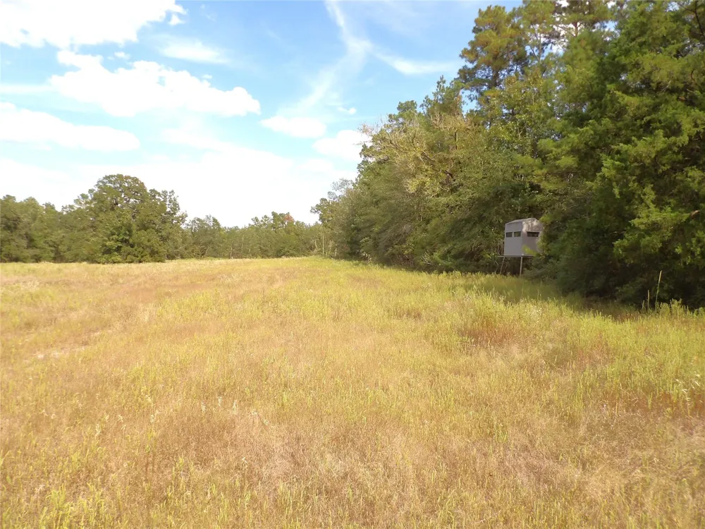7749 Cr 4200 Pennington, TX 75856