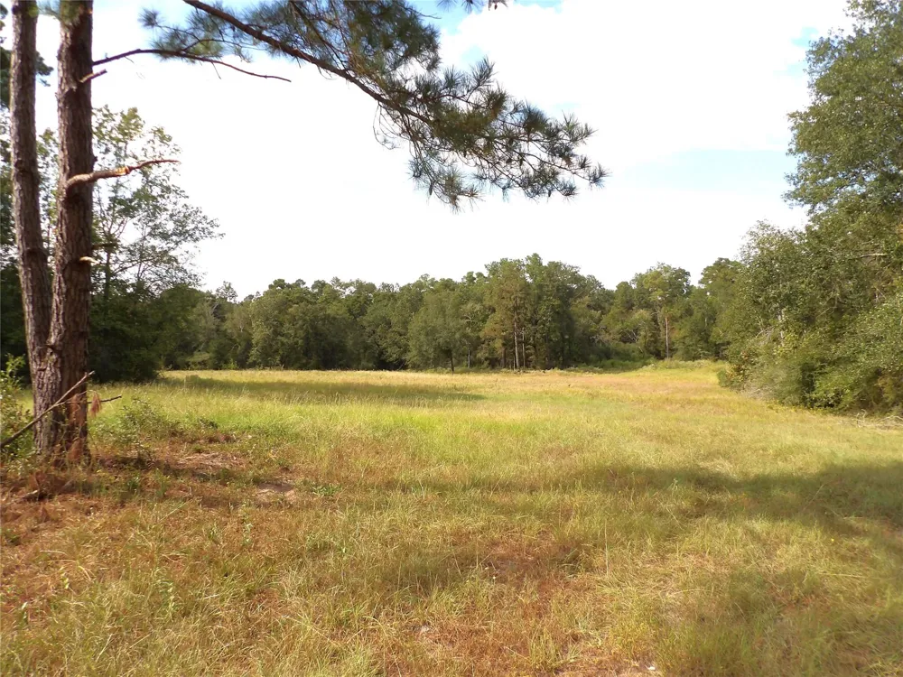7749 Cr 4200 Pennington, TX 75856