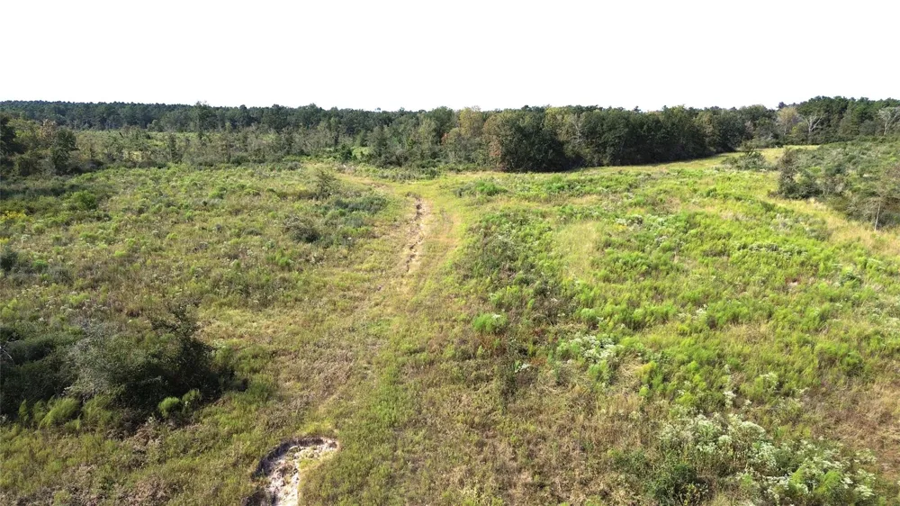 7749 Cr 4200 Pennington, TX 75856
