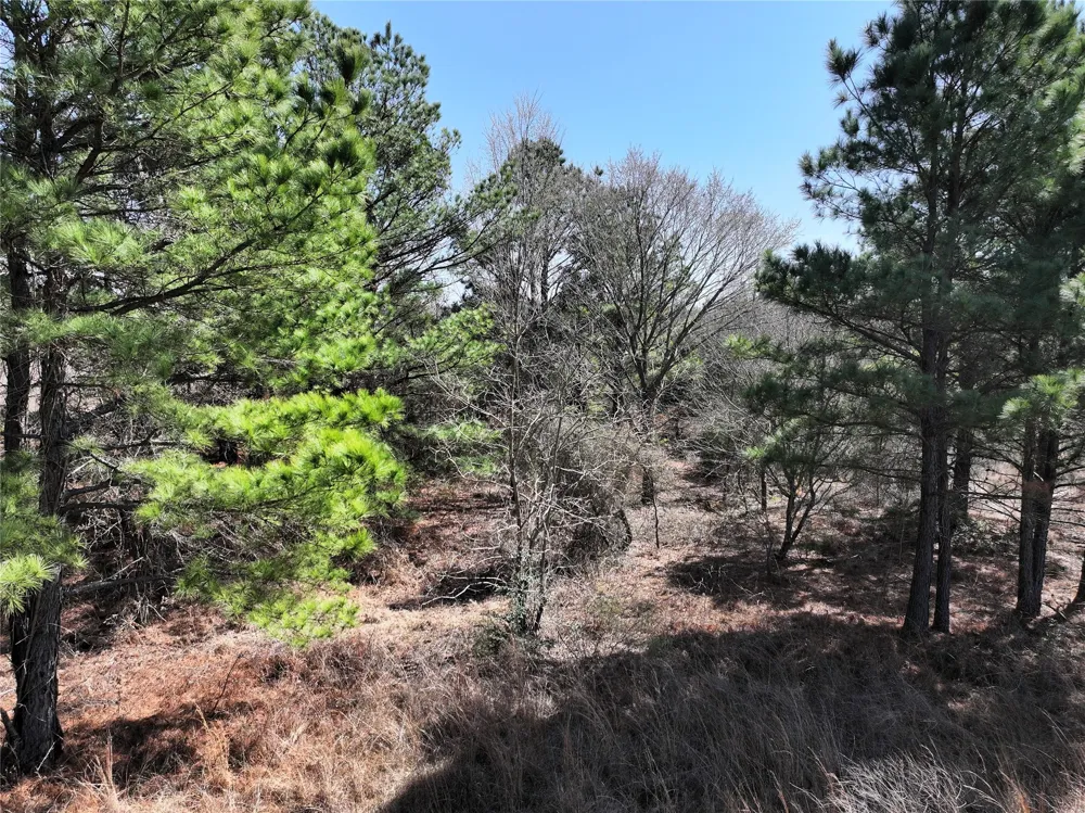 3843 Fm 1256 Eustace, TX 75124