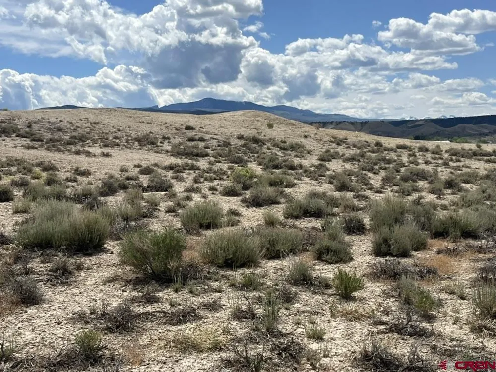 1 Racine Road Montrose, CO 81401