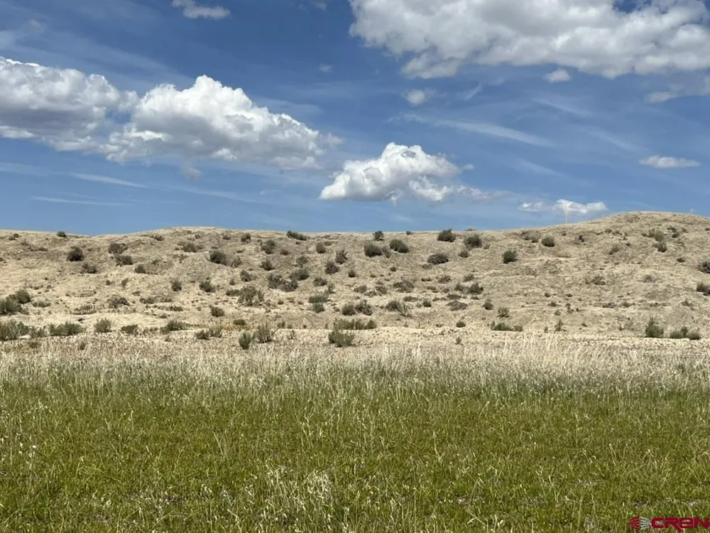 1 Racine Road Montrose, CO 81401