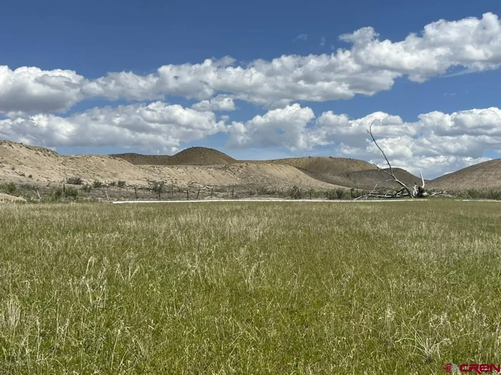 1 Racine Road Montrose, CO 81401