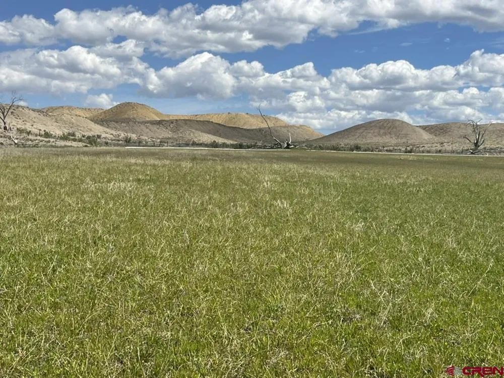 1 Racine Road Montrose, CO 81401