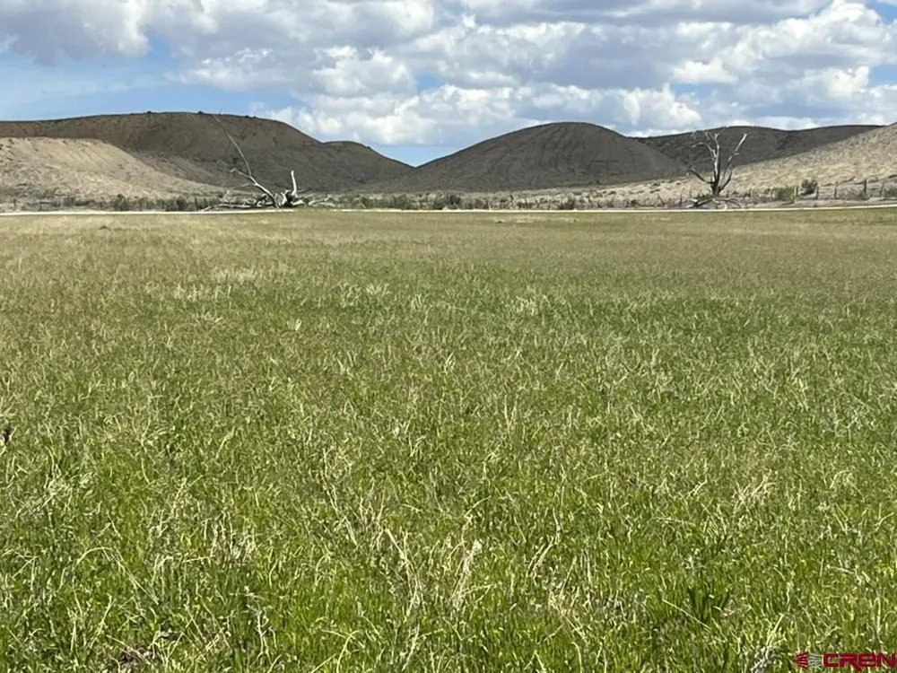 1 Racine Road Montrose, CO 81401