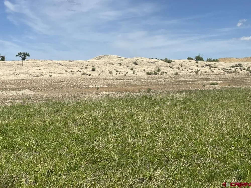 1 Racine Road Montrose, CO 81401