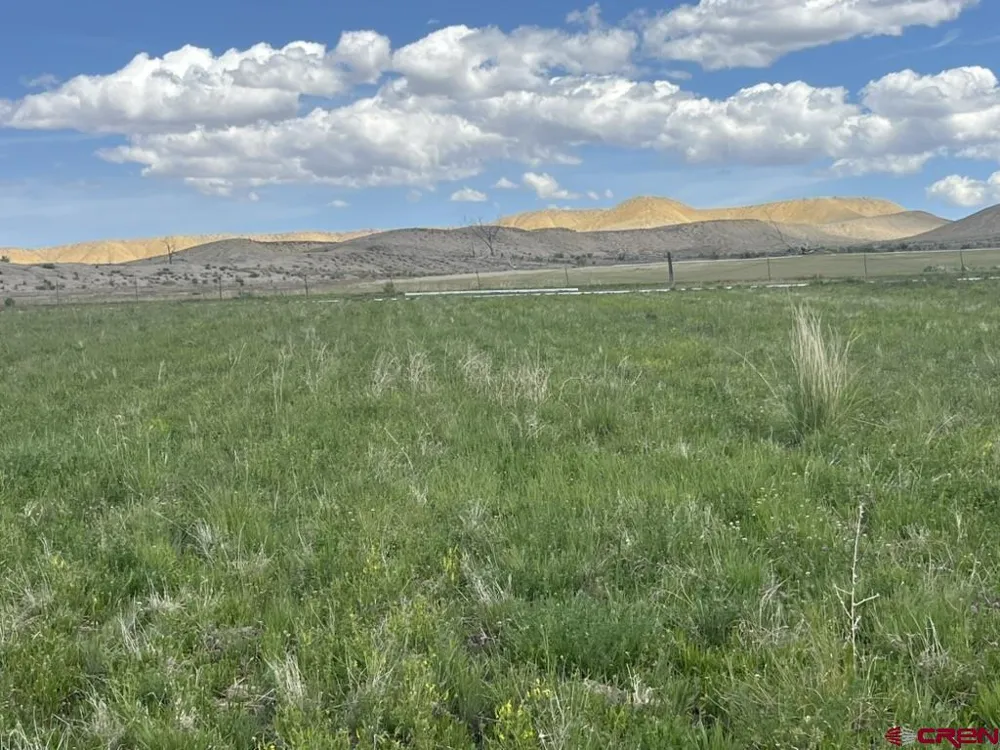 1 Racine Road Montrose, CO 81401