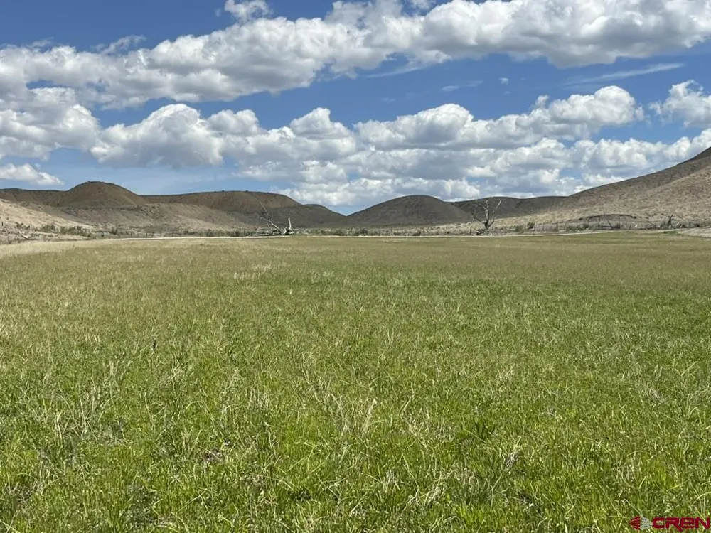 2 Racine Road Montrose, CO 81401