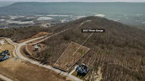 3037 River Gorge Drive