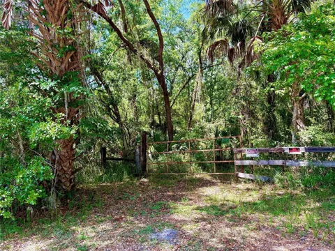 OLD CRYSTAL RIVER ROAD