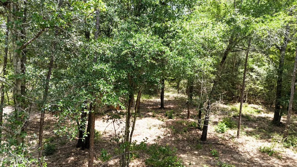 20429 Fettinger Road Fountain, FL 32438