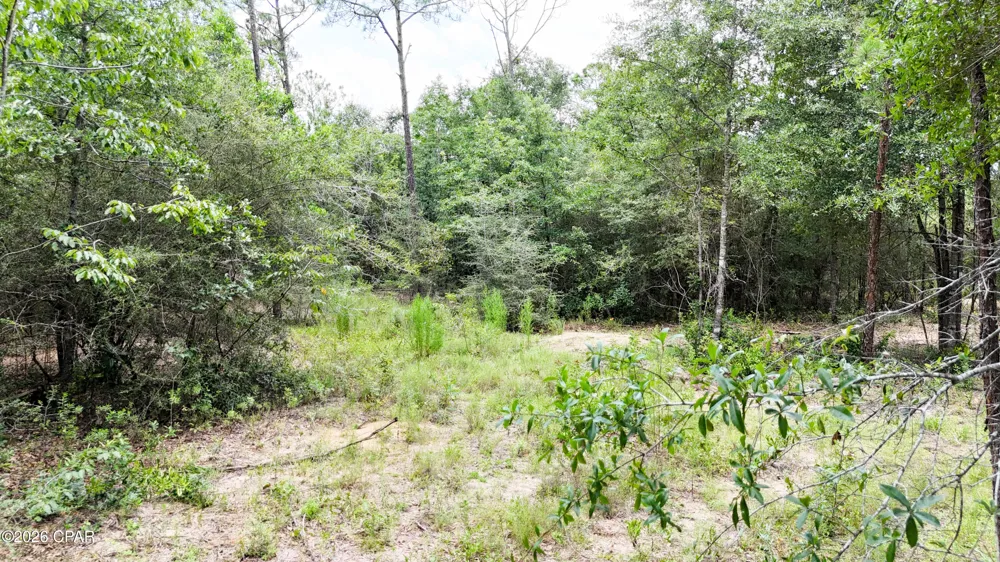 20429 Fettinger Road Fountain, FL 32438