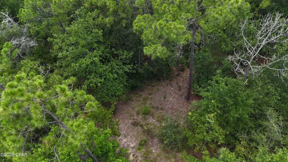 20429 Fettinger Road Fountain, FL 32438