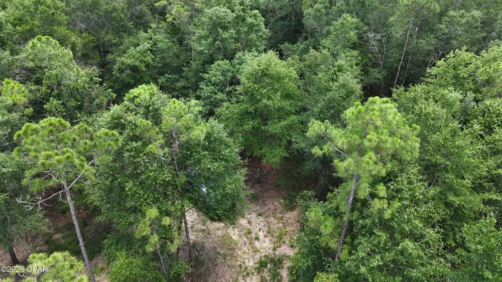 20429 Fettinger Road Fountain, FL 32438