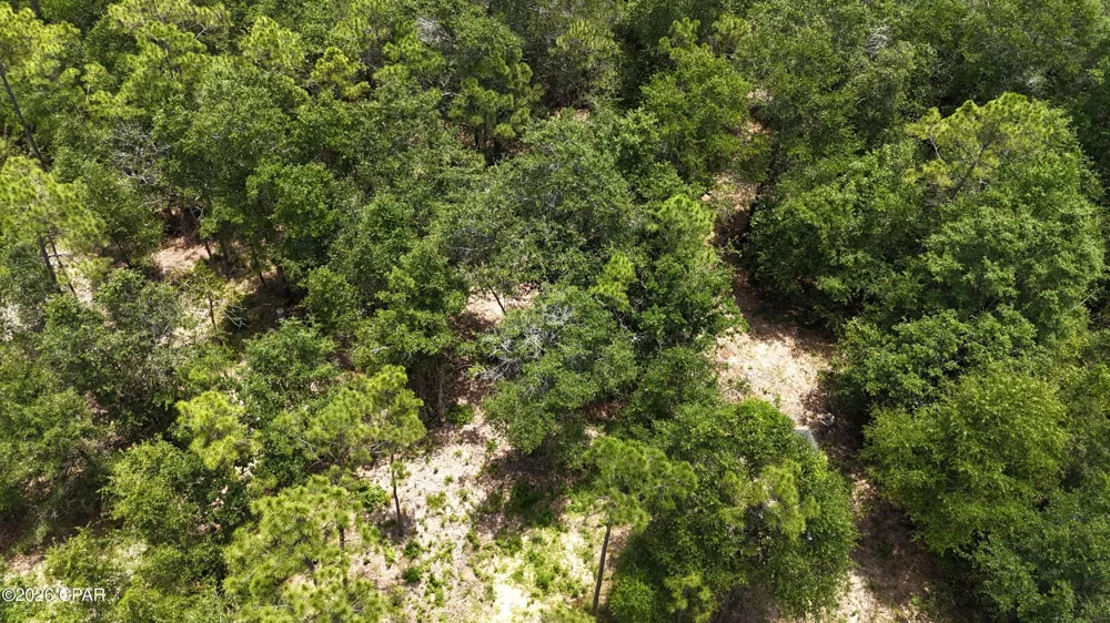 20429 Fettinger Road Fountain, FL 32438