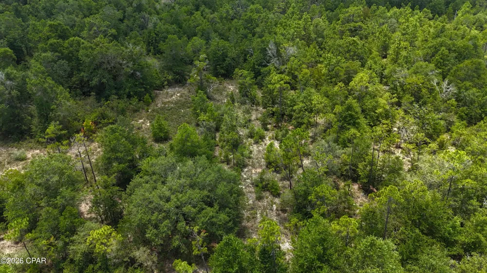 20429 Fettinger Road Fountain, FL 32438
