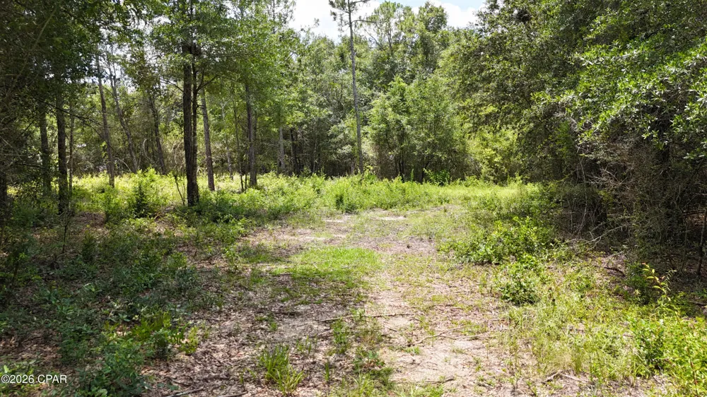 20429 Fettinger Road Fountain, FL 32438