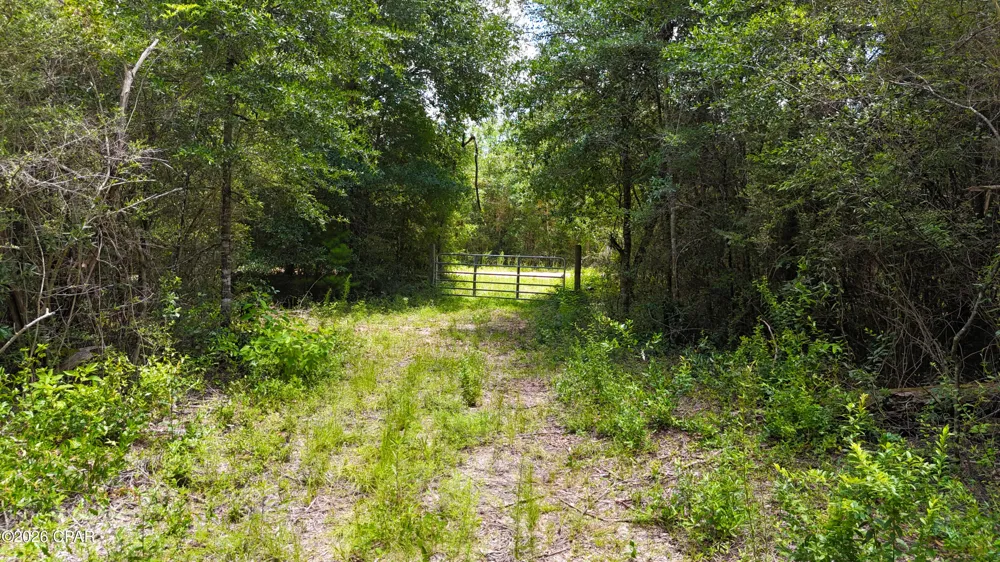 20429 Fettinger Road Fountain, FL 32438
