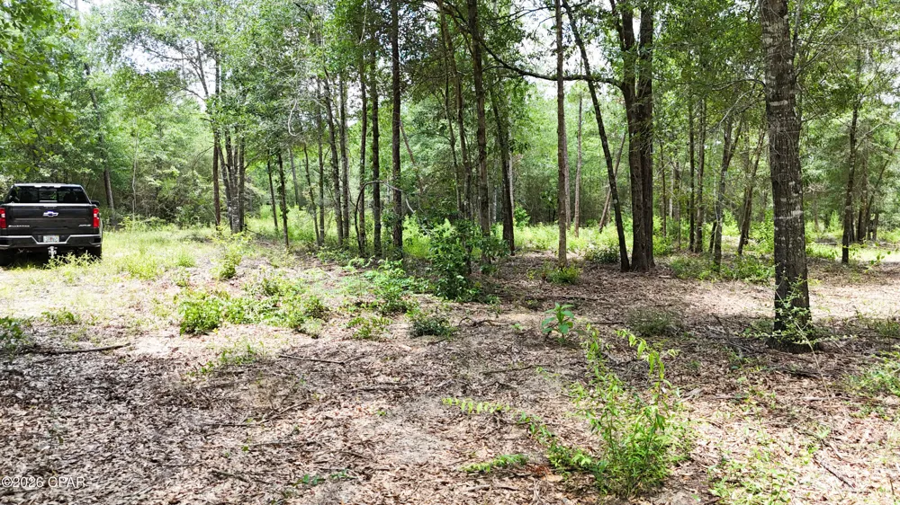20429 Fettinger Road Fountain, FL 32438