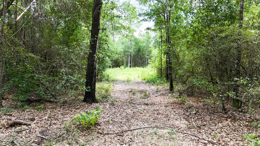 20429 Fettinger Road Fountain, FL 32438