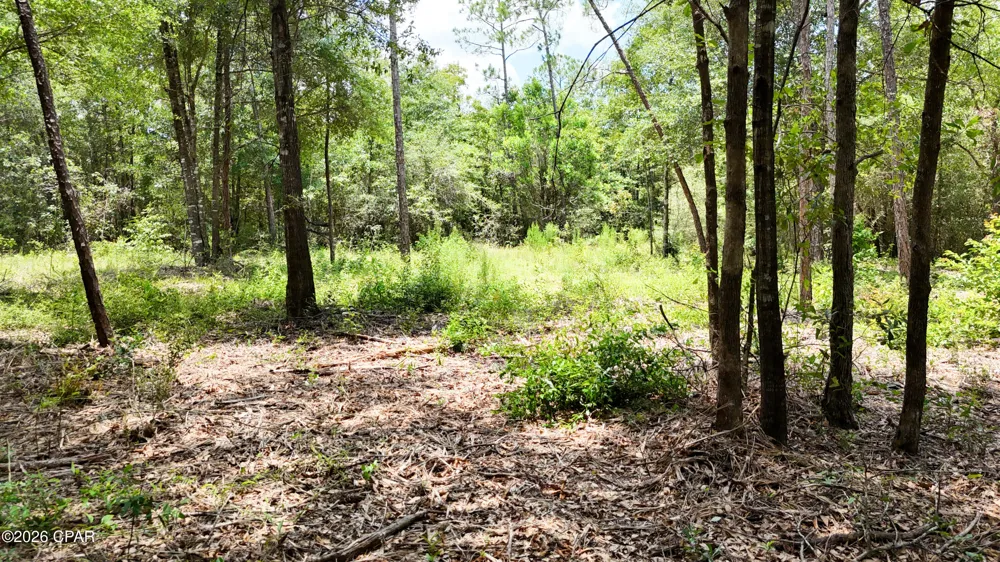 20429 Fettinger Road Fountain, FL 32438