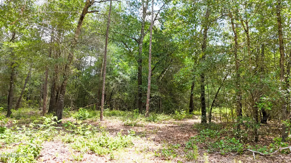 20429 Fettinger Road Fountain, FL 32438