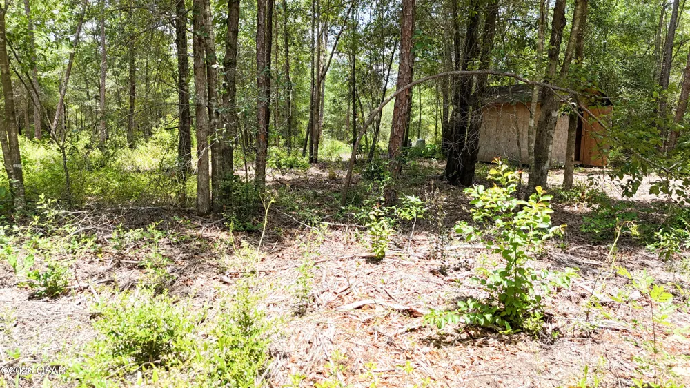 20429 Fettinger Road Fountain, FL 32438
