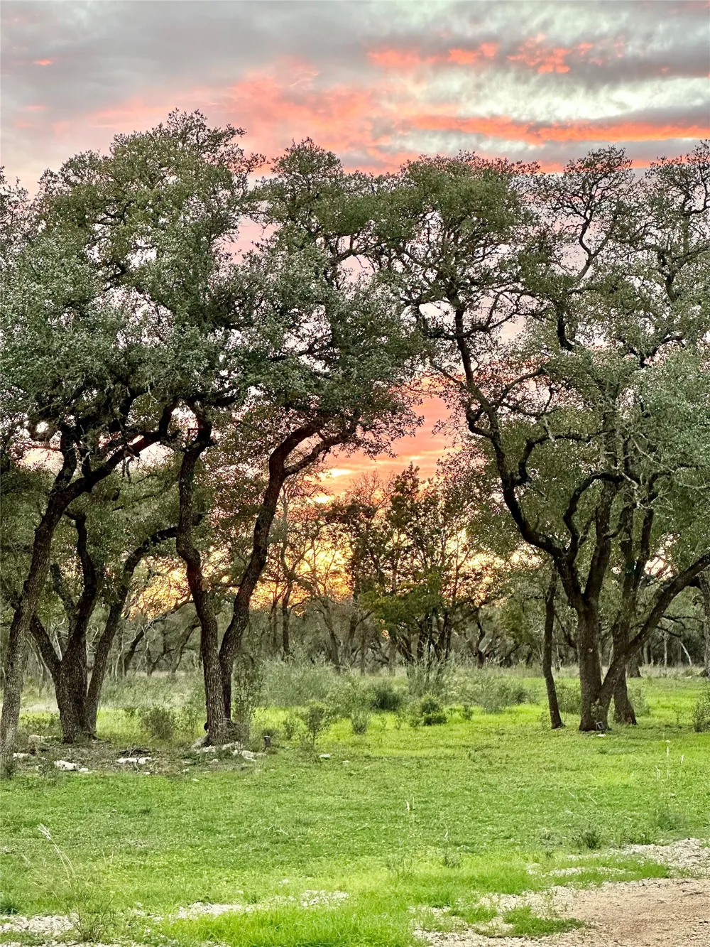 1435 Hilliard Road San Marcos, TX 78666