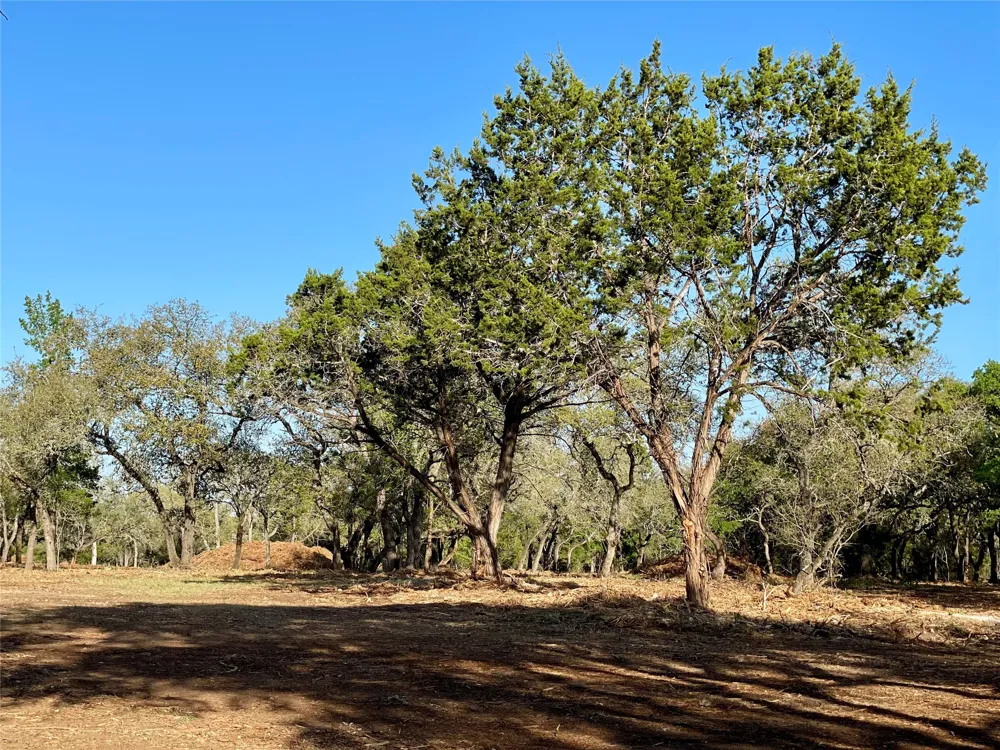 1435 Hilliard Road San Marcos, TX 78666