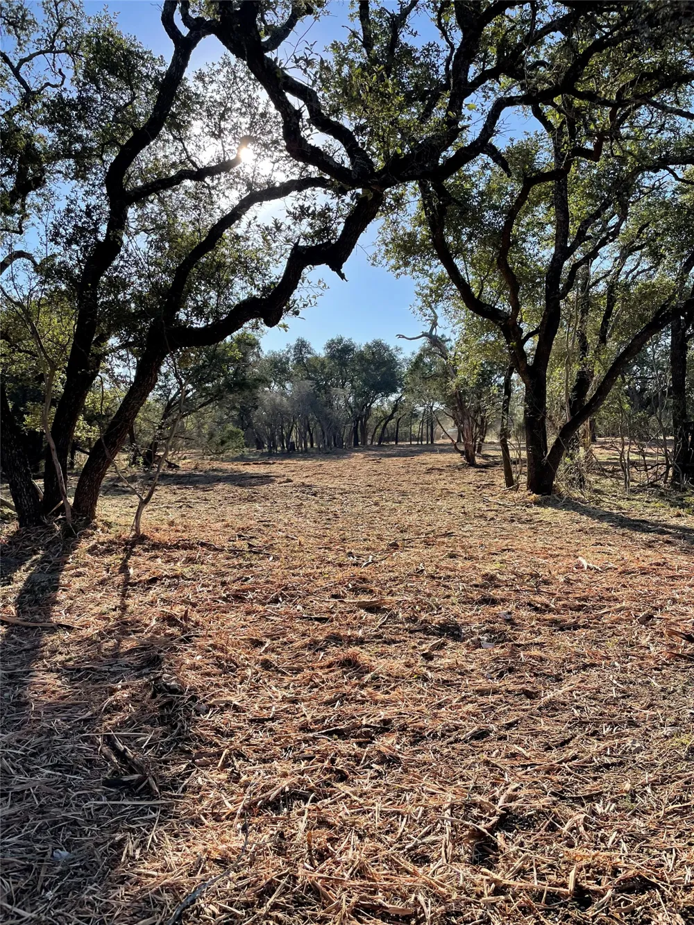 1435 Hilliard Road San Marcos, TX 78666