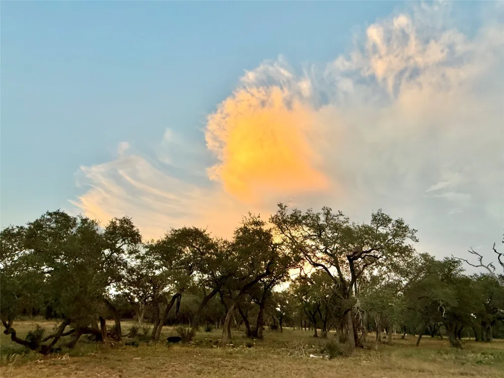 1435 Hilliard Road San Marcos, TX 78666