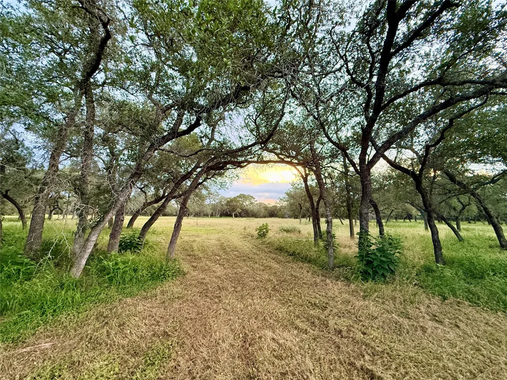 1435 Hilliard Road San Marcos, TX 78666