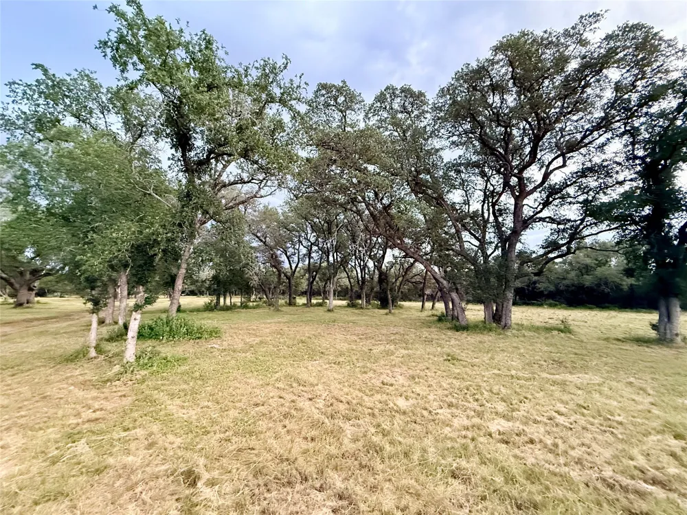 1435 Hilliard Road San Marcos, TX 78666