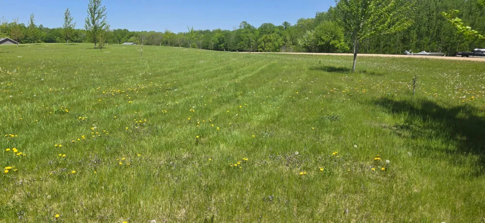 TBD Meadows Circle Audubon, MN 56511