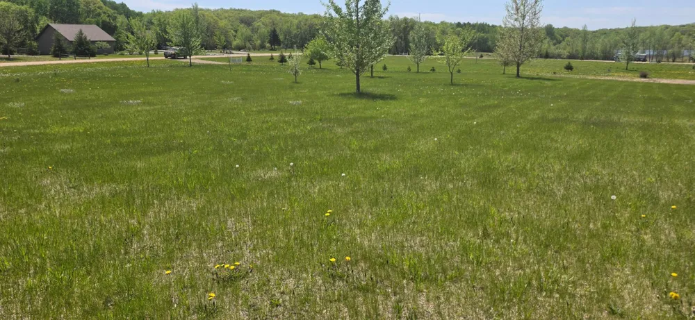 TBD Meadows Circle Audubon, MN 56511