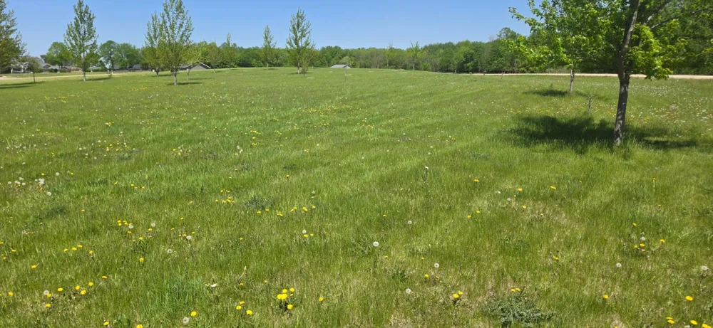 TBD Meadows Circle Audubon, MN 56511