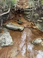 1083 Cedar Hill Drive Nemo, TX 76070