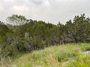 1083 Cedar Hill Drive Nemo, TX 76070