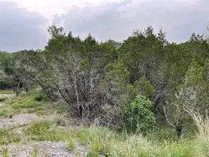 1083 Cedar Hill Drive Nemo, TX 76070