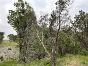 1083 Cedar Hill Drive Nemo, TX 76070